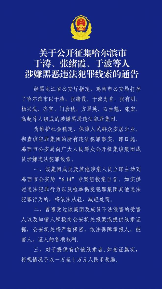 黑龙江省委书记：对各类黑恶势力违法犯罪苗头露头就打！